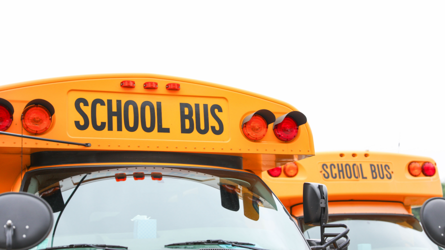 School Crossing Guard